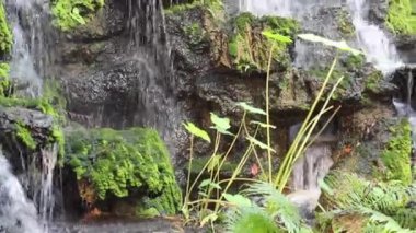 Küçük bir gölet ve şelale ile güzel bir peyzaj.