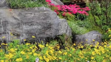 Küçük bir gölet ve şelale ile güzel bir peyzaj.