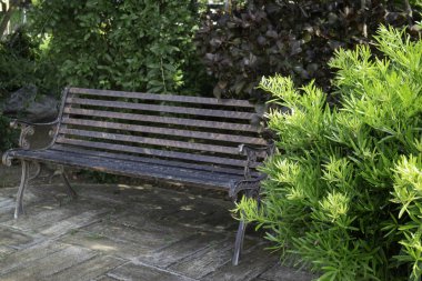 Tek boş park bankı, stok fotoğrafı.