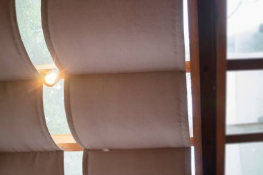 Tatil köyü bahçesinde süslenmiş güzel tropikal yeşil bitki ve ağaç.