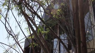 Gün ışığında cam ofis binasının kentsel pencereleri, stok görüntüleri