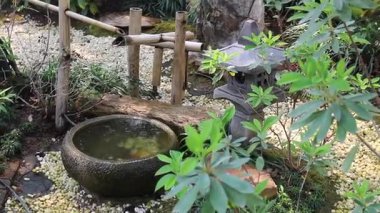 Kafenin iç bahçesi. Doğal, stok görüntüleri var.