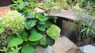 Kafenin iç bahçesi. Doğal, stok görüntüleri var.