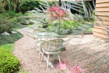 Çiçekli yaz bahçesi, stok fotoğrafı.