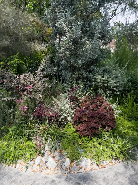 Tayland 'da bir kafeterya tarzı, stok fotoğrafı.