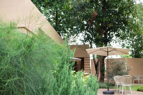 Çiçekli yaz bahçesi, stok fotoğrafı.