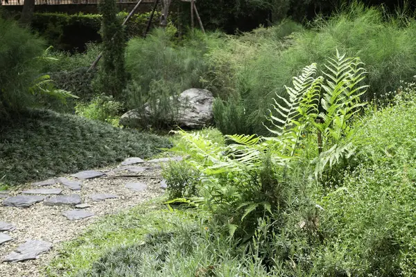 Çiçekli yaz bahçesi, stok fotoğrafı.