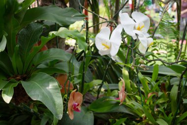 Bir fabrika ve bahçıvanlık mağazası, borsa fotoğrafı.