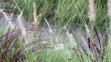 Doğanın soyut ekoloji ortamı ve seyahat rahatlama konsepti, stok görüntüler