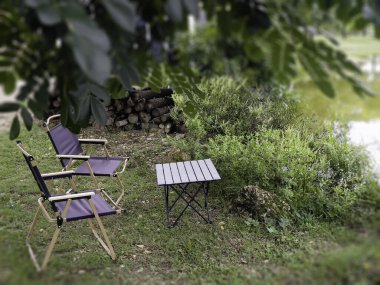 Yaz bahçesindeki bitki ve çiçeğin rahatlatıcı görüntüsü, stok fotoğrafı.