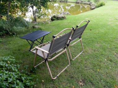 Yaz bahçesindeki bitki ve çiçeğin rahatlatıcı görüntüsü, stok fotoğrafı.