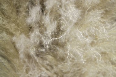 Sokak pazarında kurutulmuş bitki aroması çiçekleri Chiang Mai, Tayland, stok fotoğrafı.