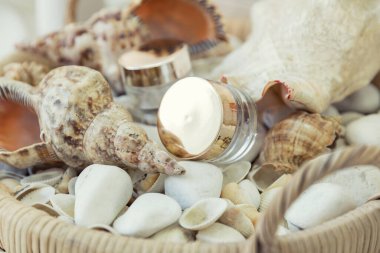 Deniz kabuğu arka planında cam kavanozda yüz kremi. Sert ışık, gölge. Cilt ve vücut bakımı için doğal güzellik ürünleri. Organik kozmetiklerle yaz kompozisyonu.