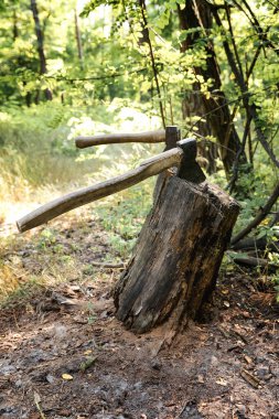 Eski bir kütüğe iki balta. Kış için odun hazırlıyorum. Orman tahribatından korunma kavramı.