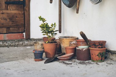 Bir sürü kil çömlek, mala ve bahçe aletleri. Bahçe işleri ve bitki bakımı ilkbahar ve yaz aylarında. Bir dizi fotoğraf. Dikey resim