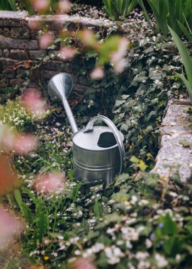 Bir bahçe sulama kutusu bitki çalılığında duruyor. Taş çit sarmaşıkla kaplı. Her yerde beyaz yapraklar var. Şehirden uzakta romantik bir hayat sahnesi. Dikey resim