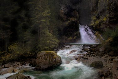 Ormanda fantastik bir şelale