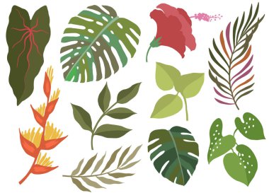 Çiçek koleksiyonu. Basit tropik çiçekler seti, vektör illüstrasyonu