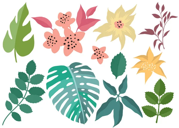 Floral Collection Set Simple Abstract Flowers Vector Illustration — Stock Vector