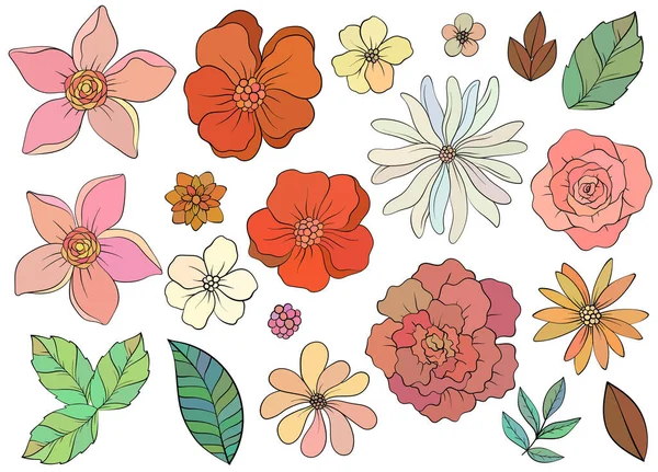 Zestaw Dzikich Kwiatów Ręcznie Rysowane Elementy Botaniczne Małe Kwiaty Liście — Wektor stockowy