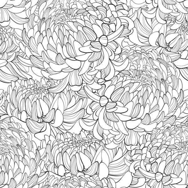 Απρόσκοπτη Περίγραμμα Floral Μοτίβο Χρυσάνθεμο Λουλούδια Εικονογράφηση Διανύσματος — Διανυσματικό Αρχείο