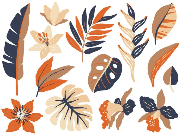 熱帯の葉 リリーと蘭の花 ジャングル植物セット ベクトルモダンフィラスト — ストックベクタ