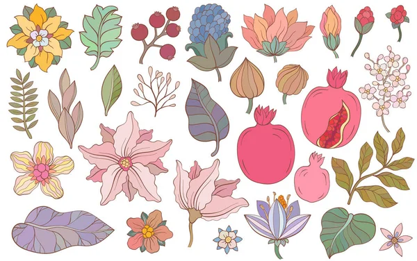 Набір Листя Граната Квітів Векторні Ілюстрації Гранат Гарнет Фрукти Квіти Ліцензійні Стокові Вектори
