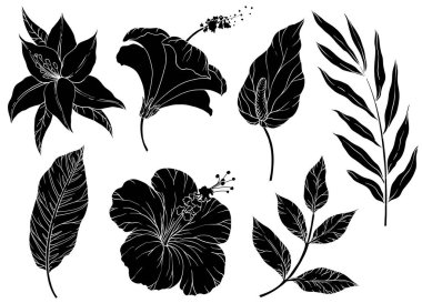 Tropikal yaprakların siluetleri. Tropik çiçekler ve bitkiler