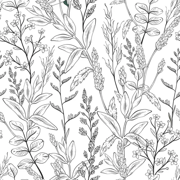 Бесшовный Черно Белый Узор Зелеными Дикими Травами Пшеничными Шипами Векторная — стоковый вектор