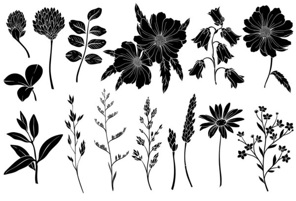 Коллекция силуэтов различных диких трав и цветов или очистных сооружений. Ботанические полевые цветы. Векторная иллюстрация