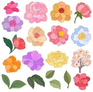 Çiçek elementleri seti. Çiçek kırmızısı, bordo, lacivert gül ve yeşil yapraklar. Tebrik kartı tasarımı için vektör düzenlemeleri