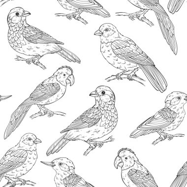 Çeşitli kuş türleriyle kusursuz desen, vektör illüstrasyonu. Vektör illüstrasyonu