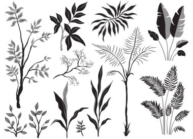 Beyaz arka planda tek renkli palmiye ağaçları ve bitkiler. Tropik bitkiler, yaz için dekorasyon, plaj. Vektör ögeleri