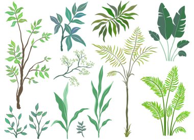 Beyaz arka planda palmiye ağaçları ve bitkiler. Tropik bitkiler, yaz için dekorasyon, plaj. Vektör ögeleri