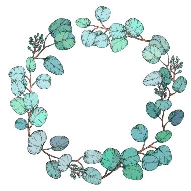 circular wreath made of Eucalyptus leaves. Botanical illustration