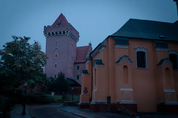 Poznan 'daki Kraliyet Kalesi. Yeniden inşa edilmiş ortaçağ kalesi