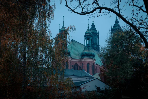 Kathedraal Van Heiligen Petrus Paulus Poznan Bakstenen Gotische Basiliek Het — Stockfoto