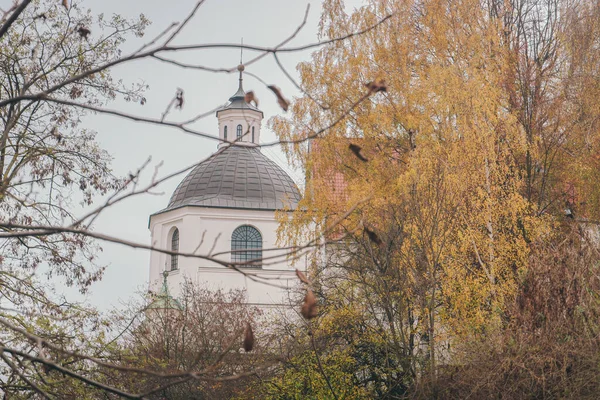 stock image The dome of the Dominican church in Lublin. Tower against the backdrop of trees