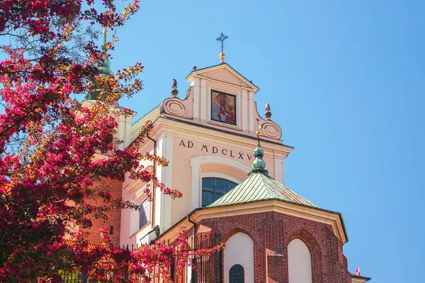 Katholieke Kerk Van Anna Warschau Uitzicht Vanaf Oostkant Bloeiende Lila — Stockfoto