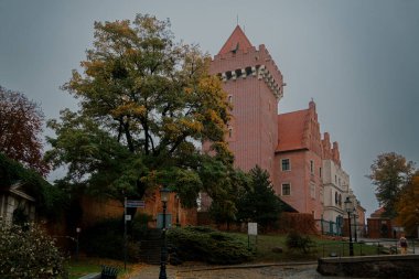 Poznan 'daki Kraliyet Kalesi. Yeniden inşa edilmiş ortaçağ kalesi