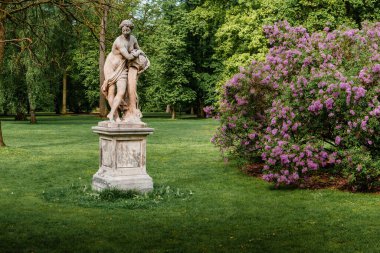 Varşova 'daki Royal Lazienki Park' ın (Lazienki Krolewskie) bahar panoraması. Çiçek açan leylakların arka planına karşı heykel