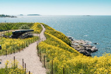 Helsinki, Finlandiya 'daki Susisaari adasının güney kıyısında. Suomenlinna Kalesi. Toplar denizin arka planına karşı