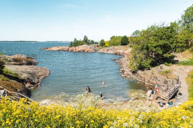 Helsinki, Finlandiya 'daki Suomenlinna plajı. Ön planda çiçek açan kolza tohumu. İnsanlar körfezde yüzer