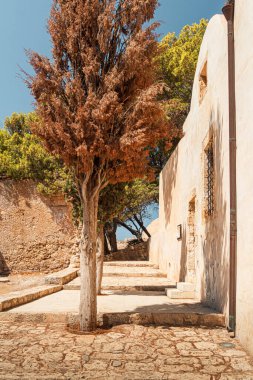 Yunanistan, Girit Adası, Rethymno 'daki Venedik Kalesi. Ağaçlar yıkıntıların arka planında