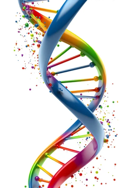 stock image Color DNA strand illustration, isolated on white background