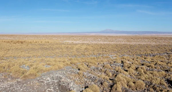 Вид Пустелю Атакама Північ Від Чилі — стокове фото