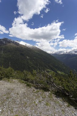 Yaz yürüyüşü sırasında Bormio bölgesinde bir manzara