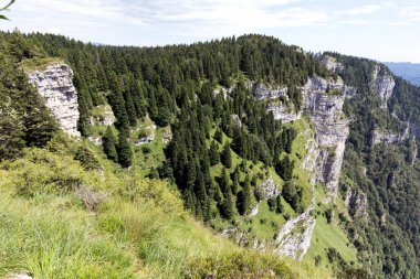Yaz aylarında Asiago Platosu 'nda yürüyüş yaparken görüntüle