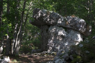 Yaz boyunca Asiago Platosu 'nda yürüyüş yaparken görüntüle