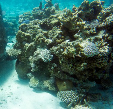 Yeni Kaledonya 'daki mercan resifinin manzarası